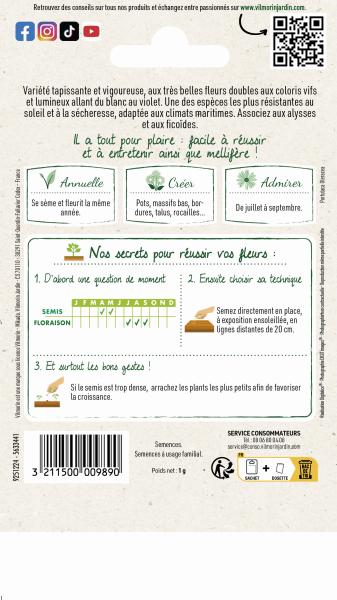 Fleurs - Pourpier Double Varié - MEDIA_PACKAGING_VERSO